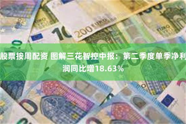 股票按周配资 图解三花智控中报：第二季度单季净利润同比增18.63%