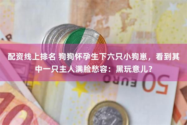 配资线上排名 狗狗怀孕生下六只小狗崽，看到其中一只主人满脸愁容：黑玩意儿？